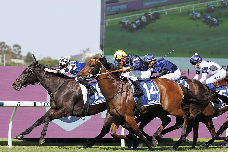 PROTAGONIST winning the FURPHY SKY HIGH STAKES