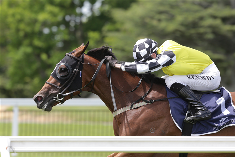 Prowess’ spring campaign back on track