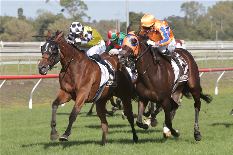 PROWESS winning the BONECRUSHER NEW ZEALAND STAKES