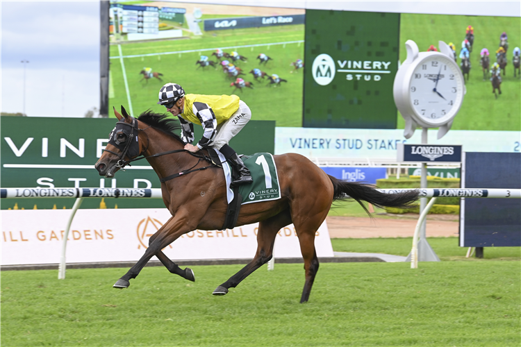 PROWESS winning the VINERY STUD STAKES at Rosehill in Australia.