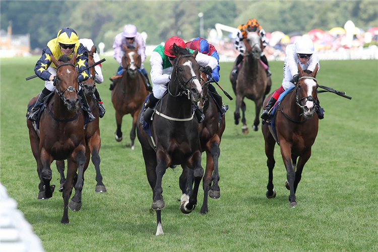 PYLEDRIVER winning the Hardwicke Stakes at Ascot in England.
