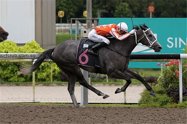 QAIDOOM winning the CLASS 4