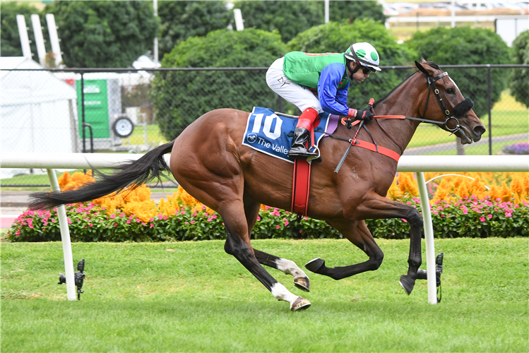 QUEEN AIR winning the Piper-Heidsieck The Mystic Journey at Moonee Valley in Australia.