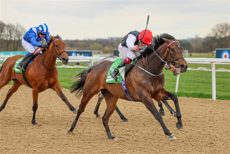 QUEEN AMINATU winning the talkSPORT All-Weather Fillies' And Mares' Championships Conditions Stakes