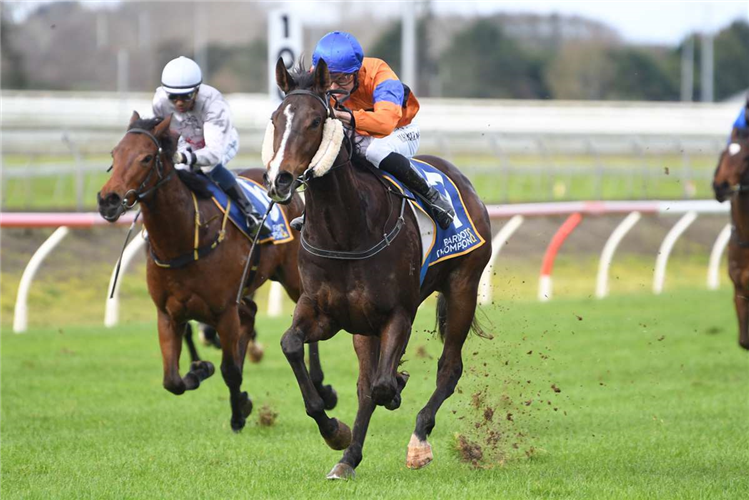 Blinkered approach to help Guineas contender