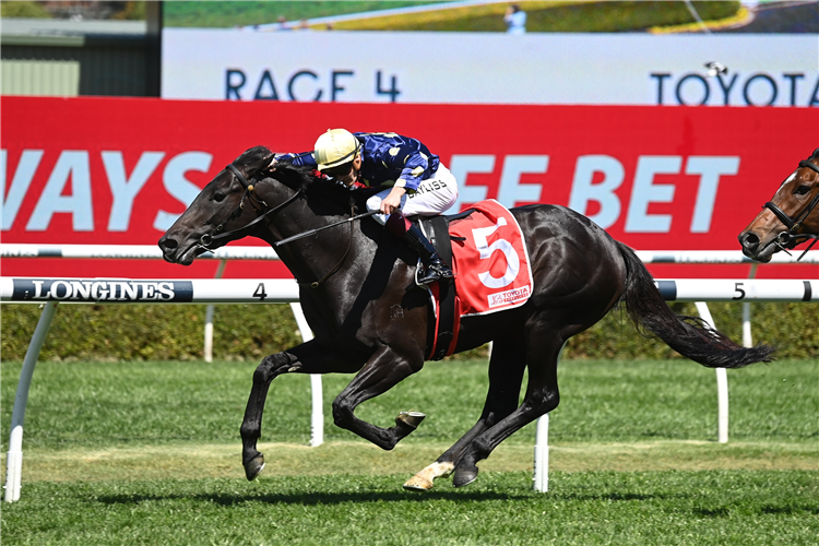 RAF ATTACK winning the TOYOTA FORKLIFTS GLOAMING STAKES at Randwick in Australia.