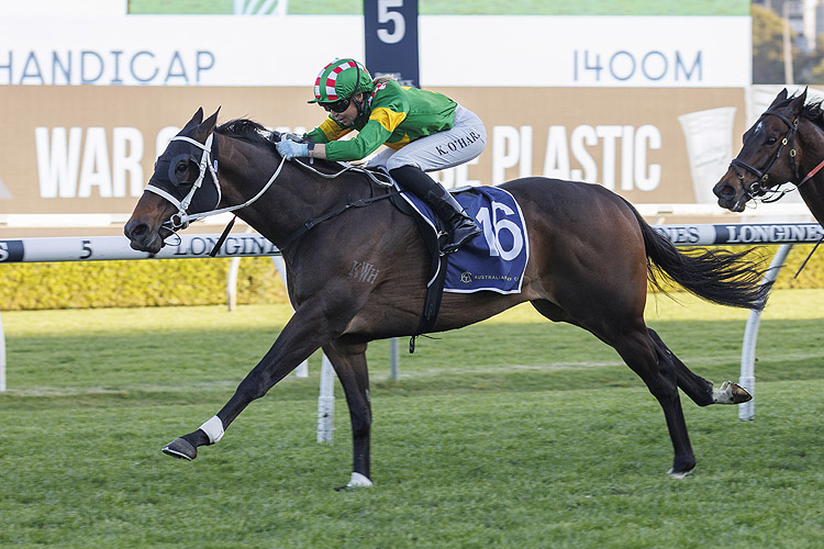 REDIENER winning the BILL RITCHIE HANDICAP