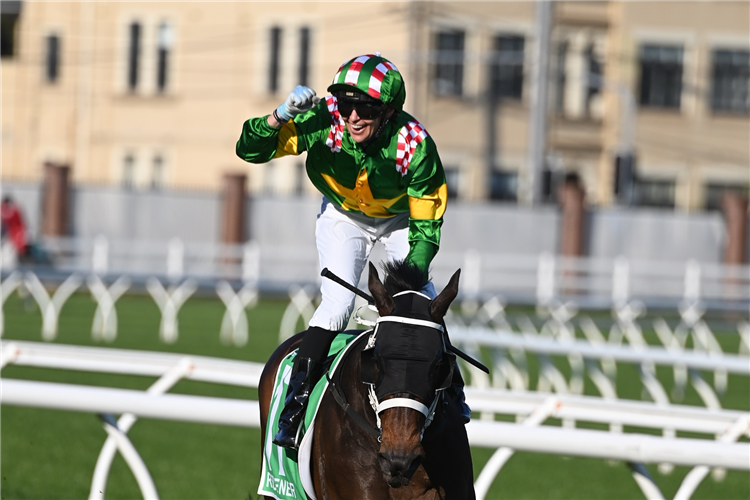 REDIENER winning the TAB EPSOM at Randwick in Australia.