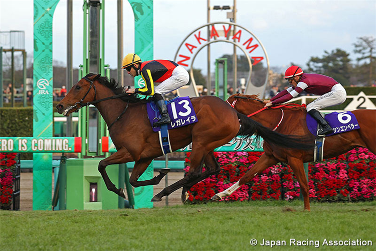 REGALEIRA winning the Hopeful Stakes at Nakayama in Japan.