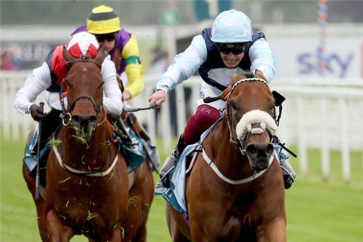 REGIONAL winning the Betfair Sprint Cup Stakes (Group 1) (British Champions Series).