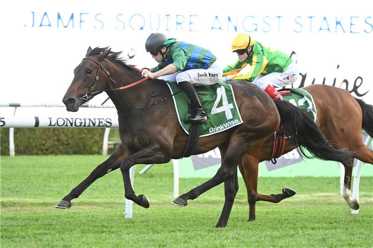 RENAISSANCE WOMAN winning the JAMES SQUIRE ANGST STAKES at Randwick in Australia.
