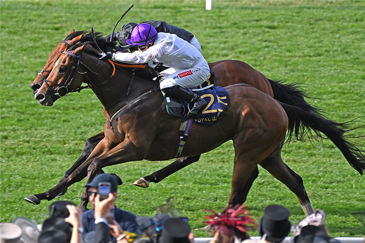 RHYTHM N HOOVES winning the Palace Of Holyrood House Stakes at Ascot in England.