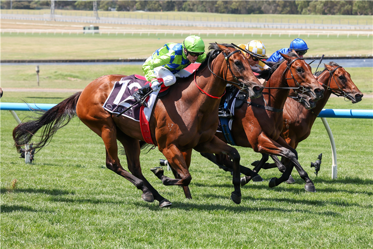 RICH FORTUNE (green silks) winning the Kevin Hayes Stakes at Sandown in Australia.