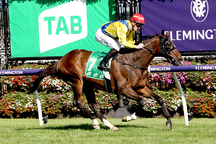 Right You Are Gears Up For Spring Racing and Sports