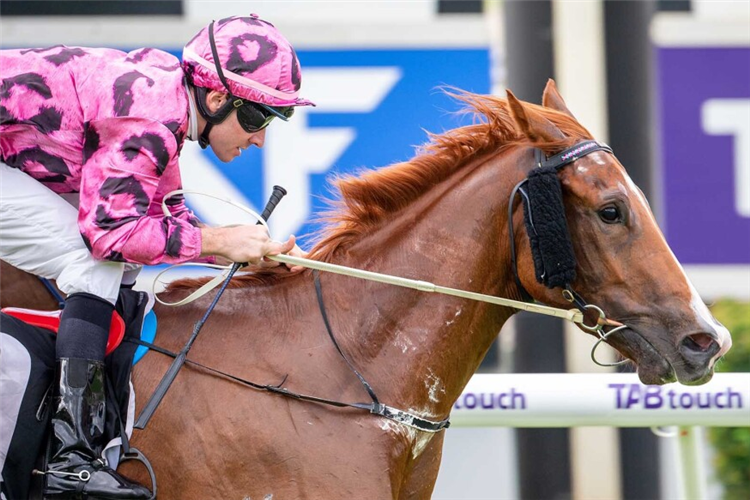 RIPCORD winning the AMELIA PARK - PERTH STAKES.