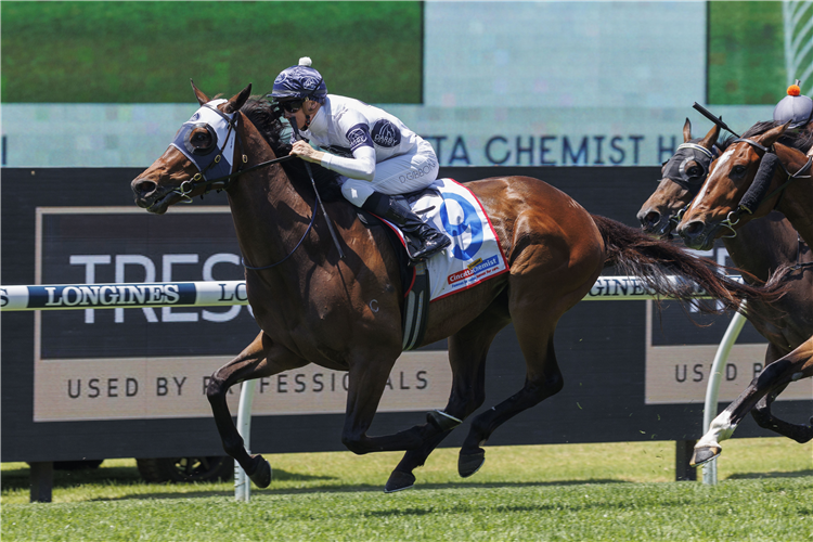 RISE TO IT winning the CINCOTTA CHEMIST HANDICAP at Rosehill in Australia.