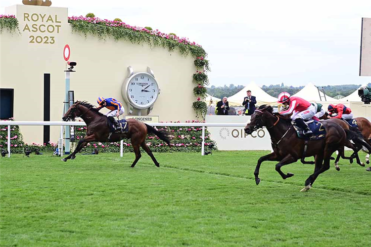 RIVER TIBER winning the Coventry Stakes at Royal Ascot in England.