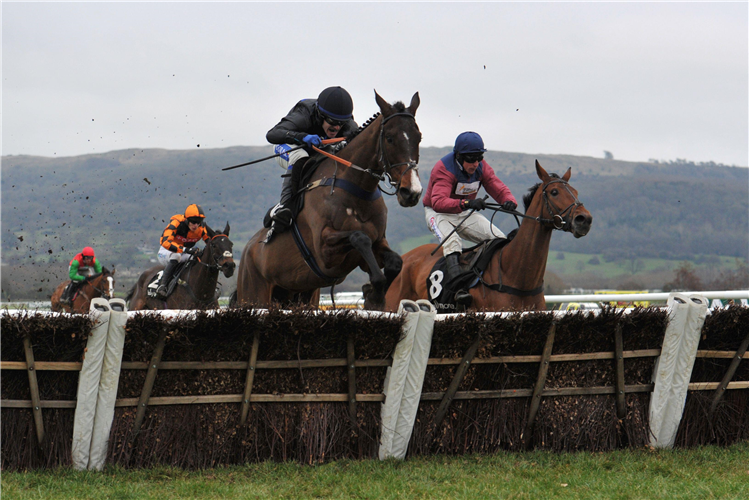 ROCK MY WAY ridden by Tom Scudamore jumps the last on the way to winning the Ballymore Novices' Hurdle at Cheltenham January 2023