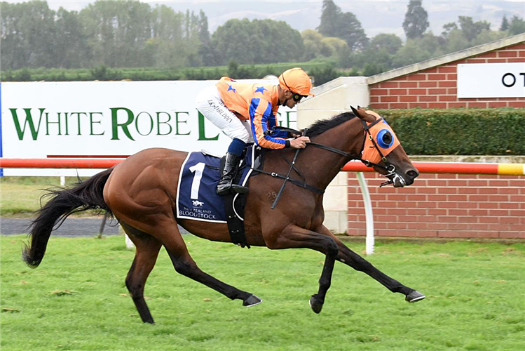 ROMANCING THE MOON winning the NZB INSURANCE STAKES