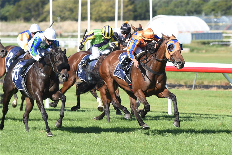 ROMANCING THE MOON winning the GEE & HICKTON FUNERAL DIRECTORS LEVIN CLASSIC