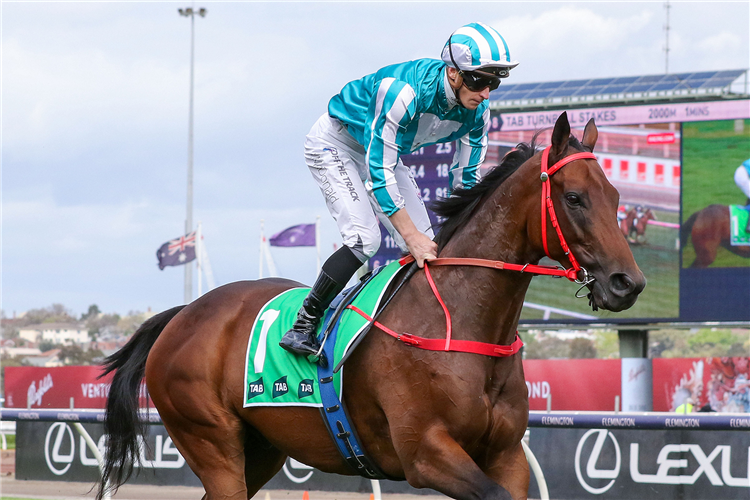 ROMANTIC WARRIOR running in the TAB Turnbull Stakes