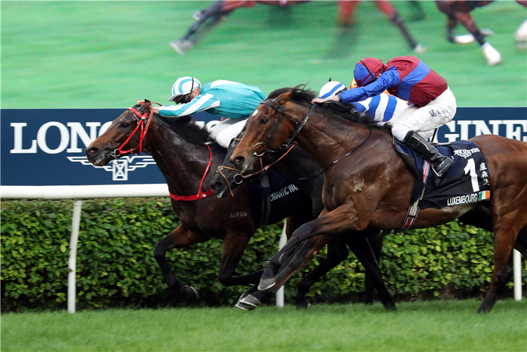 ROMANTIC WARRIOR winning the THE LONGINES HONG KONG CUP at Sha Tin Racecourse.