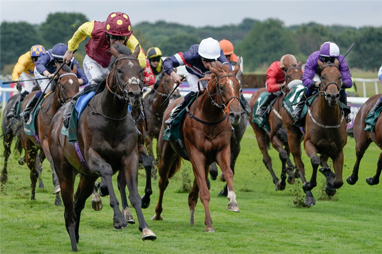 ROOM SERVICE (yellow sleeves) winning the 2-Y-O Stakes at Doncaster in England.