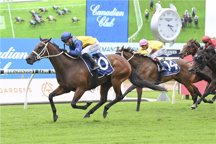 ROOTS winning the Emancipation Stakes at Rosehill in Australia.