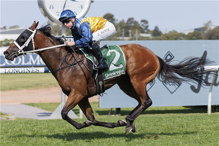 ROOTS winning the JAMES SQUIRE HOT DANISH STAKES at Rosehill in Australia.