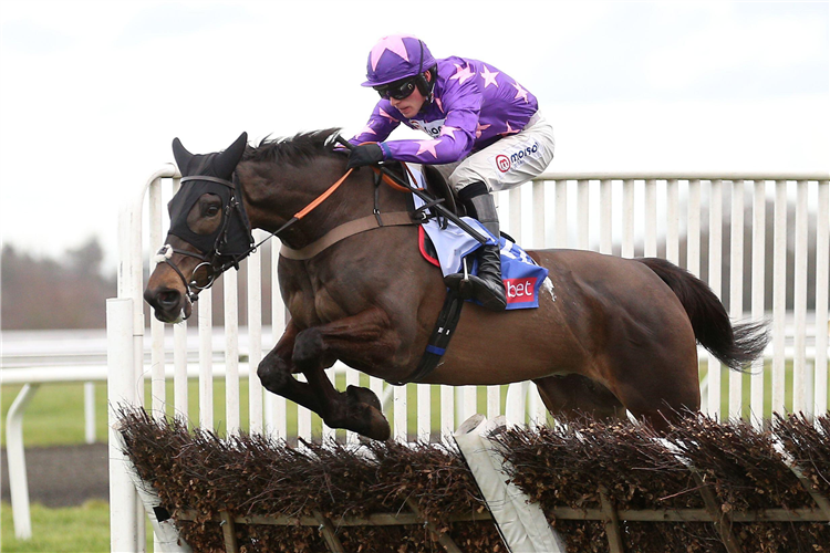 RUBAUD ridden by Harry Cobden clears a fence before winning the Sky Bet Dovecote Novices' Hurdle at Kempton Park Saturday February 25, 2023.