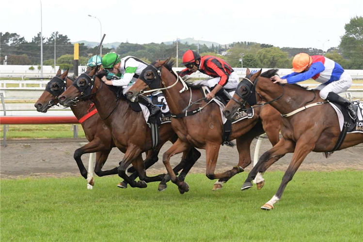 Mixed day for Pike at Pukekohe