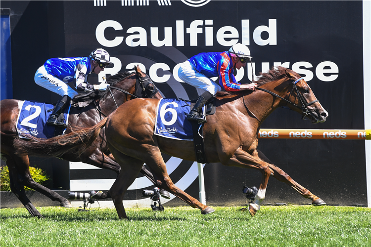 RUN HARRY RUN winning the Catanach's Jewellers Blue Sapphire Stakes at Caulfield in Australia.