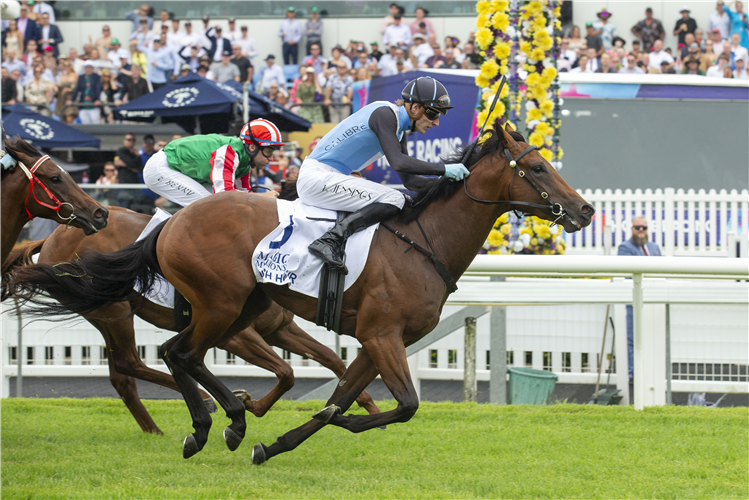 Rush Hour winning the Magic Millions The Debut 2Yo Plate