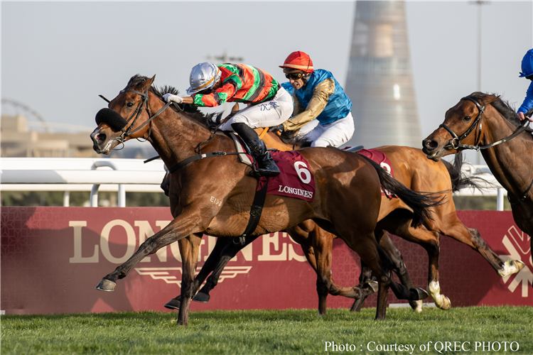 RUSSIAN EMPEROR winning the HH The Amir's Trophy at Doha.