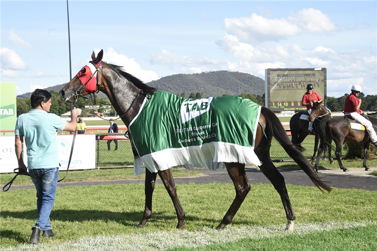 Sacramento after his win in the 2022 TAB Canberra Cup.