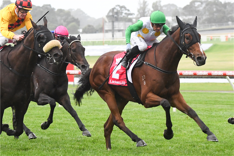 SAINT BATHANS winning the LockettLED.au Handicap at Ladbrokes Park Hillside in Springvale, Australia.