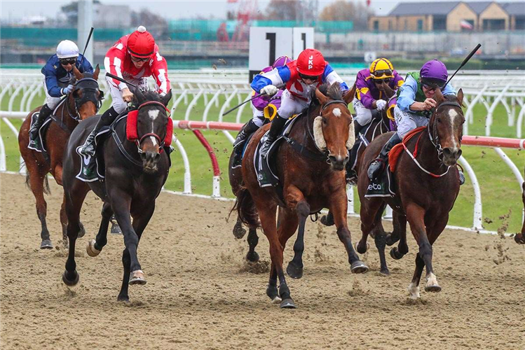 Sassy Chouxs (pictured centre) winning at the Riccarton synthetic meeting a fortnight ago