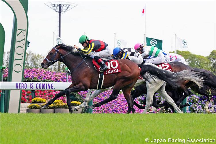 SCHNELL MEISTER winning the Yomiuri Milers Cup at Kyoto in Japan.