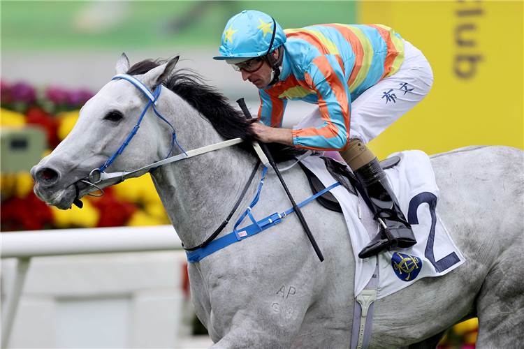 SENOR TOBA winning the Centenary Vase.