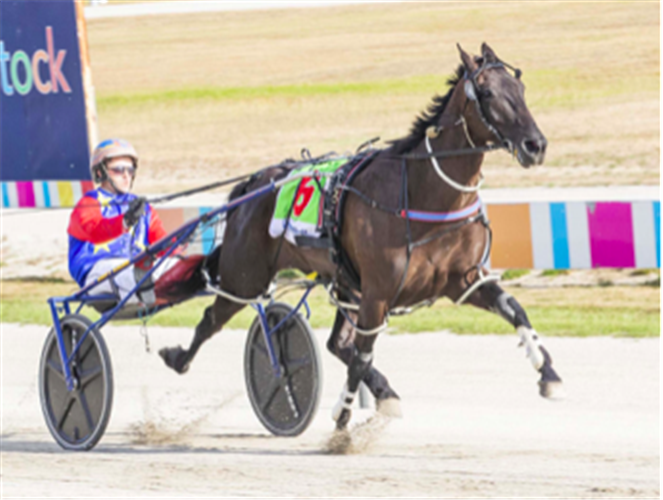 SERG BLANCO winning the Swan Hill Pacing Cup