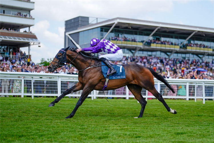 SHAQUILLE winning the Carnarvon Stakes at Newbury in England.