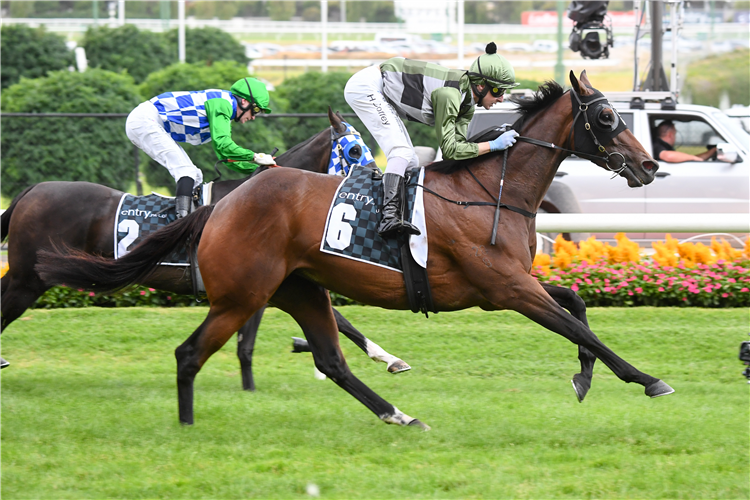 SHE'S ALL CLASS winning the Entry Education Abell Stakes at Moonee Valley in Australia.