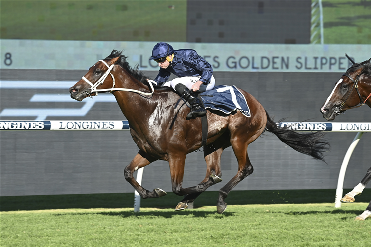 SHINZO winning the LONGINES GOLDEN SLIPPER at Rosehill in Australia.