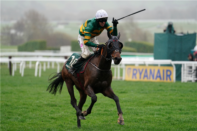 Stayers' Hurdle hero Sire Du Berlais, who will roll on to Aintree to defend his Jrl Group Liverpool Hurdle title next month.