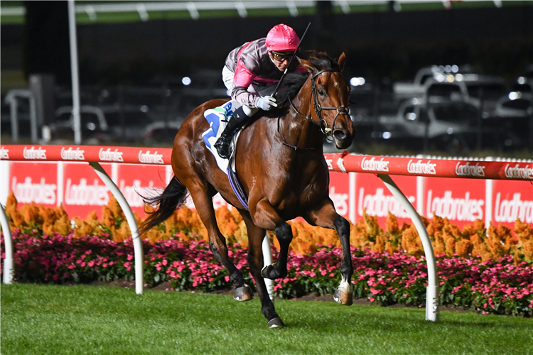 SIRILEO MISS winning the BMD Group Sunline Stakes at Moonee Valley in Australia.