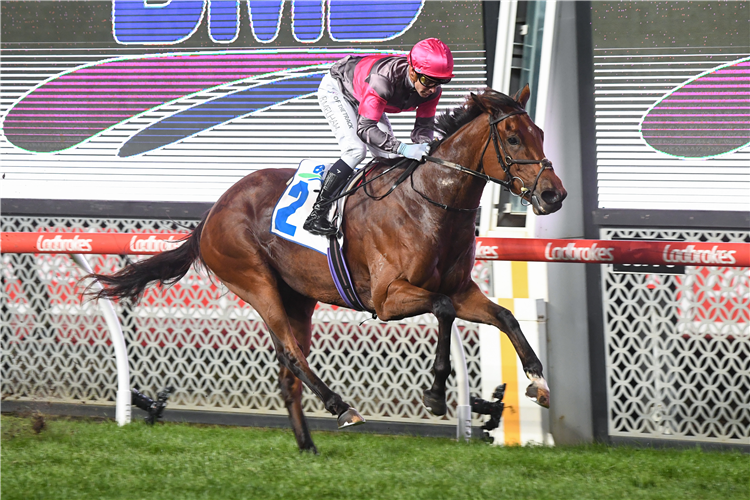 SIRILEO MISS winning the BMD Group Sunline Stakes at Moonee Valley in Moonee Ponds, Australia.