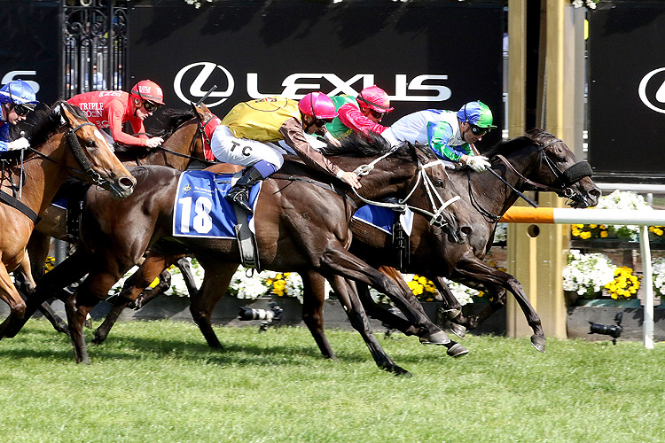 SKEW WIFF winning the The Hong Kong Jockey Club Stakes