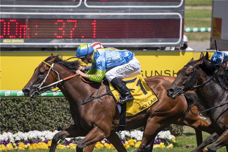 SKY LAB winning the $1M FRIZELLE SUNSHINE MAGIC MILLIONS SUBZERO at Gold Coast in Australia.