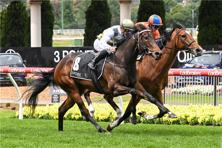 SKYBIRD (light green cap) winning the Fillies Classic at Moonee Valley in Australia.