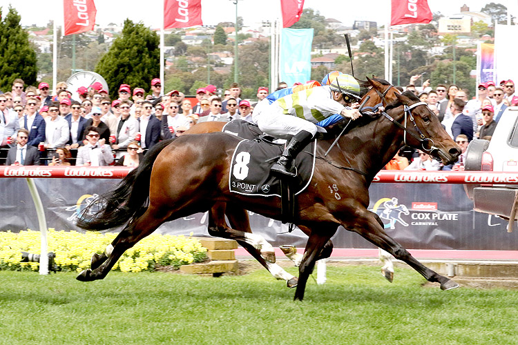 SKYBIRD is currently favourite for the Thousand Guineas.